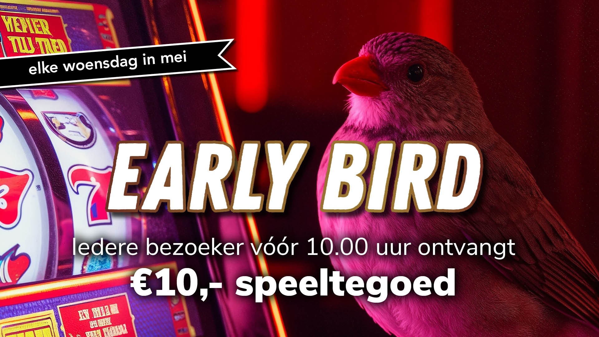 FL_Noordwh_NC + WEB_Early Bird.jpg